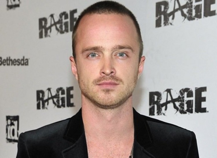 Aaron Paul Little Beard