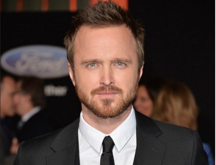 Aaron Paul barbu