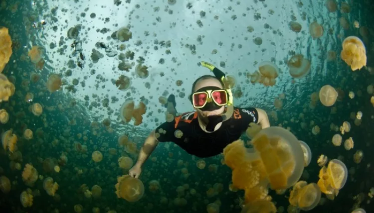 Les 15 piscines naturelles les plus folles du monde