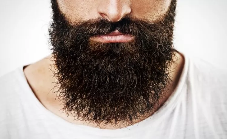 Peignez votre barbe fréquemment - Crédit: Shutterstock