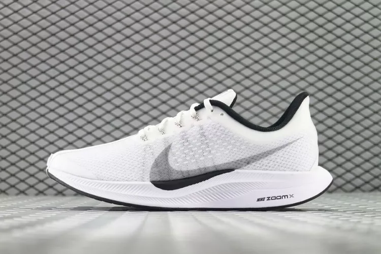 Nike Pegasus 35 - Meilleures chaussures de course