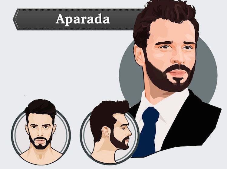 types de barbe