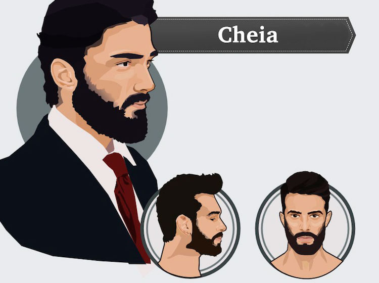 types de barbe