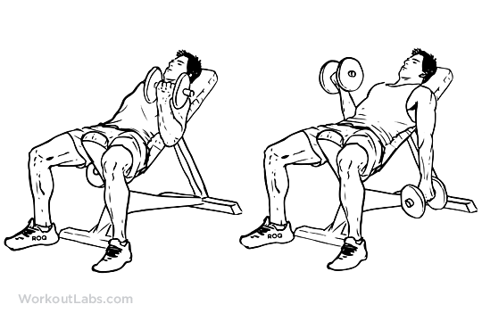 meilleurs exercices de biceps