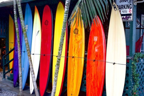 Quelles sont les meilleures planches de surf ?  Types, prix, comparaisons et lequel choisir