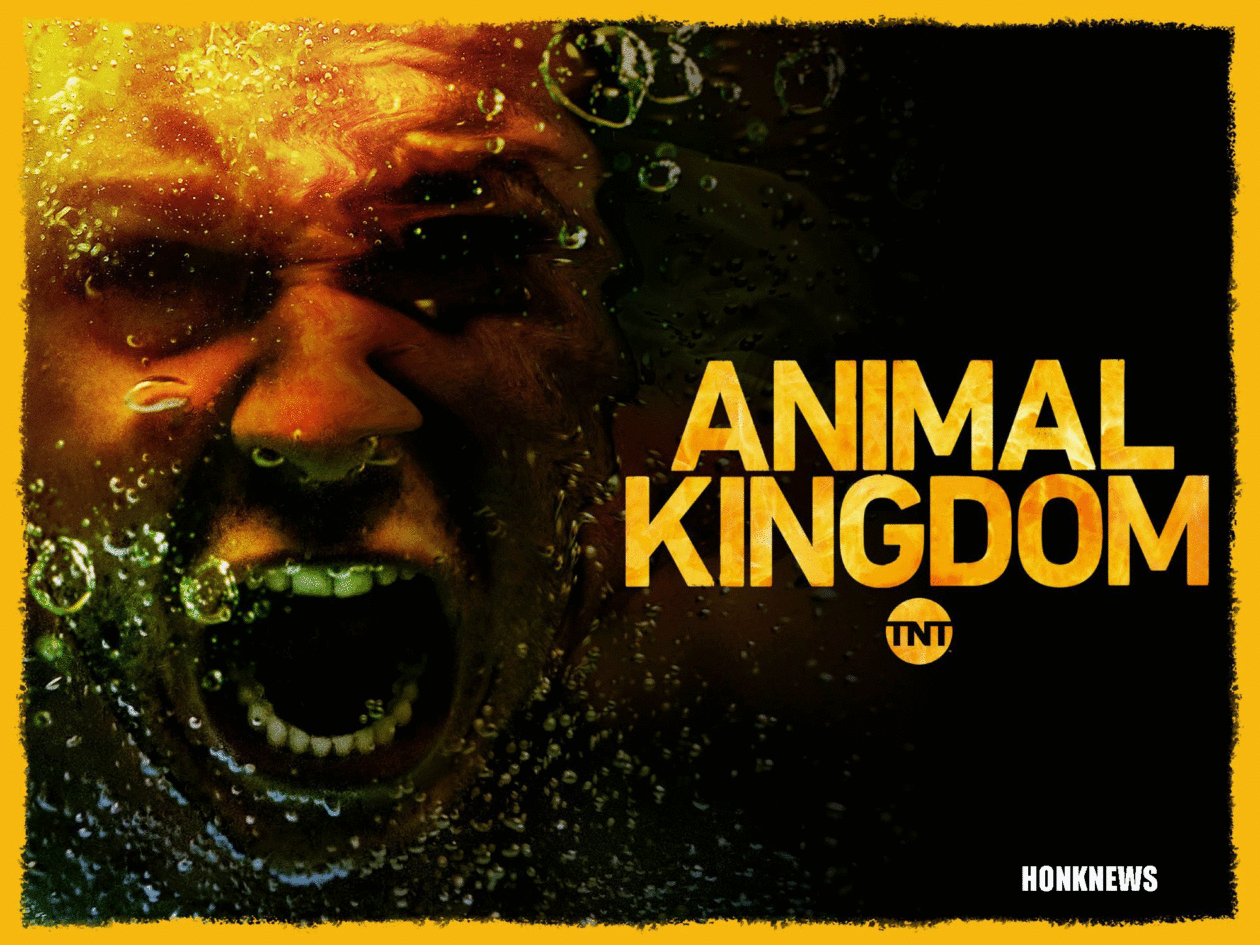 Où trouver Saison 5 Animal Kingdom ?