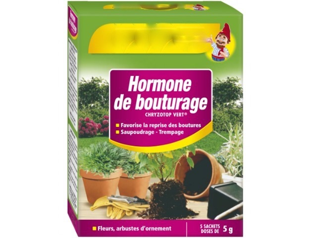 Pourquoi l'hormone de bouturage est interdit ?