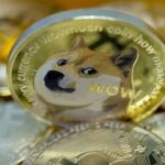 What is BabyDoge all time high?